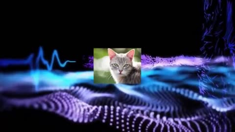 Music to Relax Dogs, Cats, Pets, Dogs Cats Relax