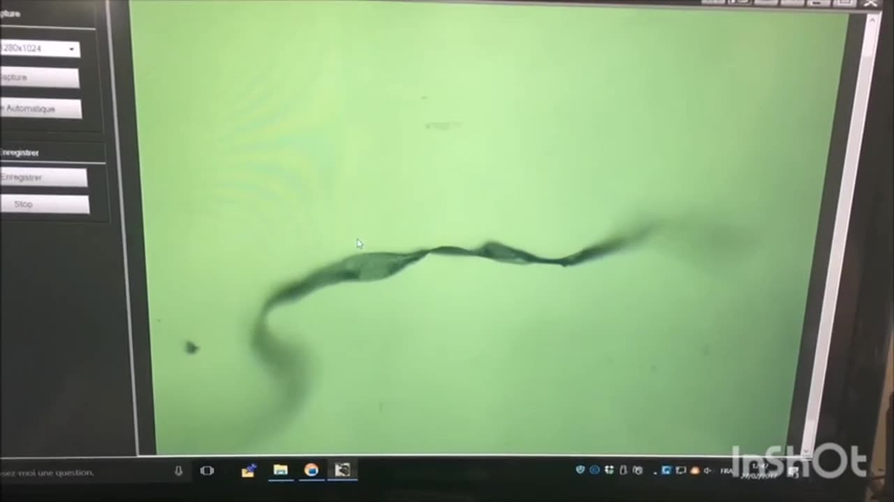 Sofia Smallstorm (2011) - The Dark Agenda of Synthetic Biology