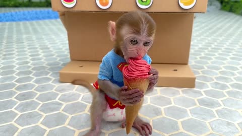 Monkey Baby Bon Bon doing shopping in Toy store and eats ice cream rainbow with puppy the pool