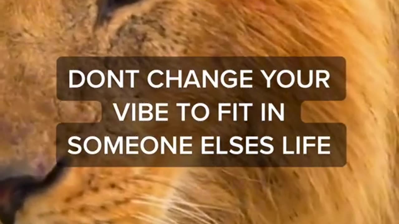 Wise sayings