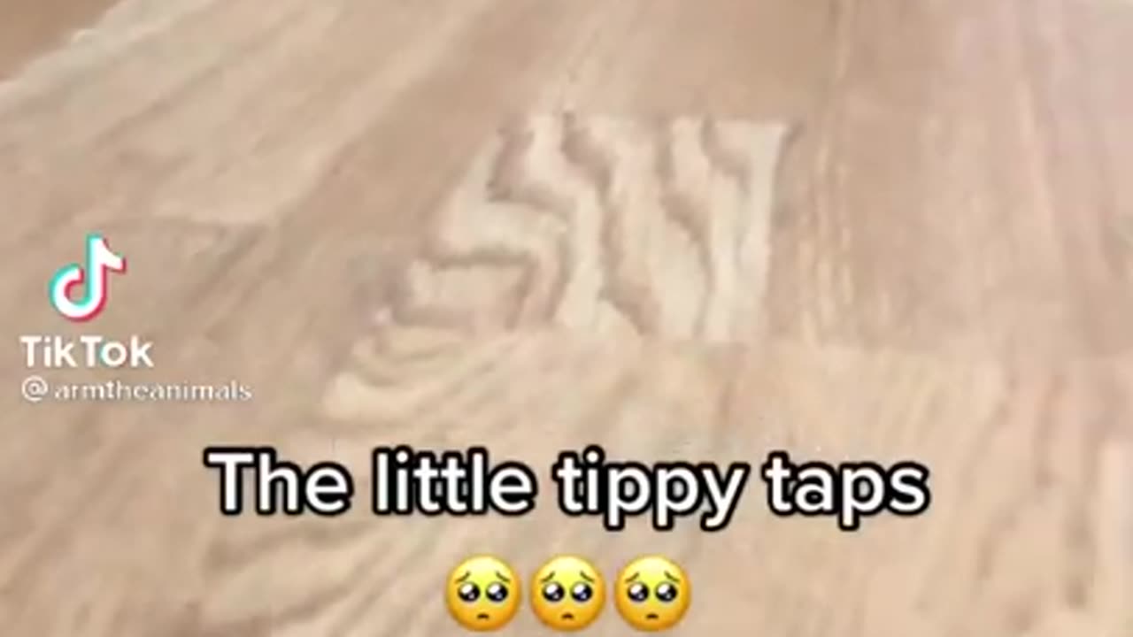 #CuteBabyAnimals #Funny #daily #Shorts #amushorts #rumble C039