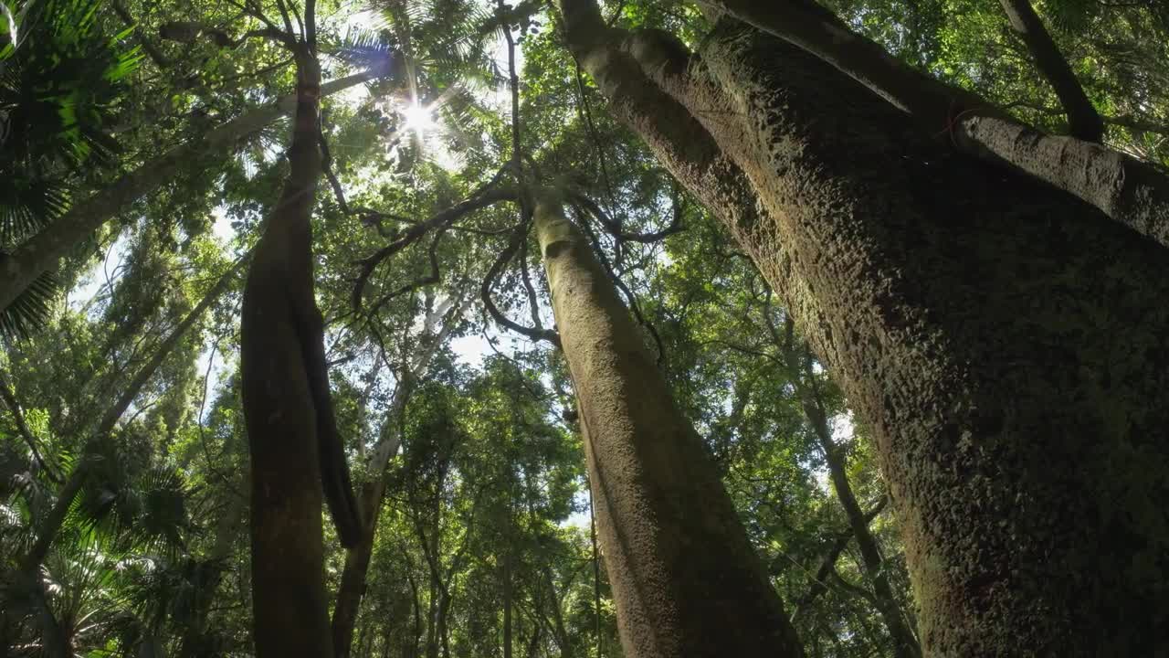 MALAYSIA | A Short Cinematic Travel Video | Stock Footage