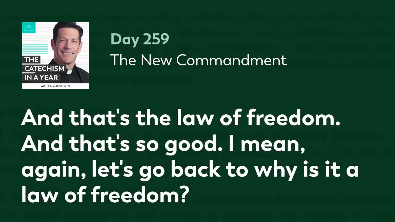 Day 259: The New Commandment — The Catechism in a Year (with Fr. Mike Schmitz)