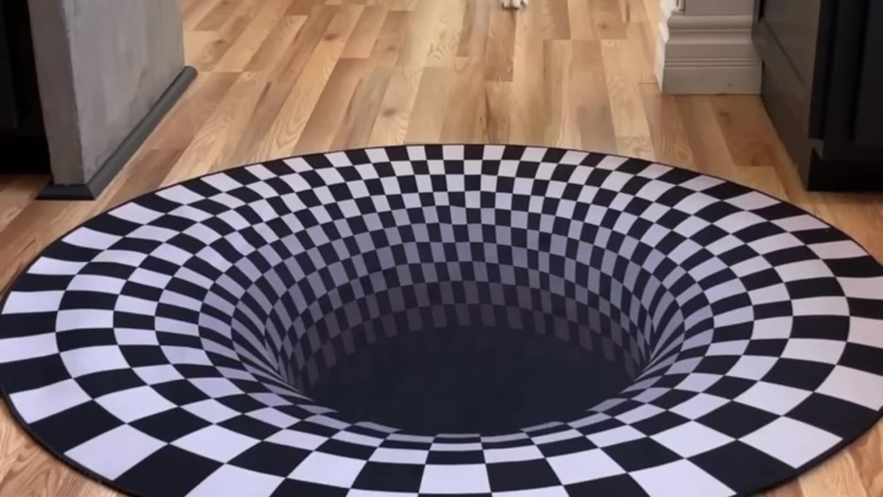 Dogs funny reaction to entering optical illusion rug