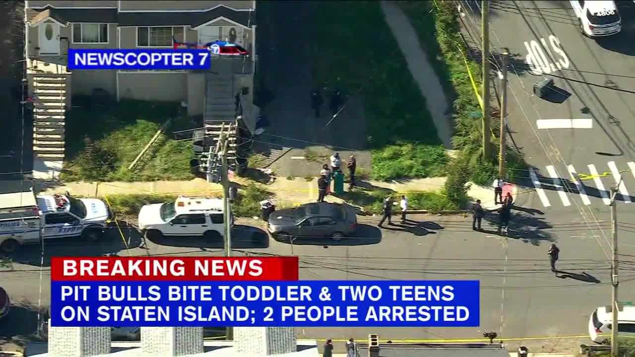 2 teens, toddler attacked by pit bulls on Staten Island