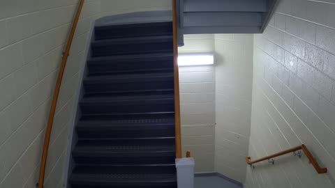 3878FHOB03Stair11_2021-01-06_18h00min03s630ms.mp4