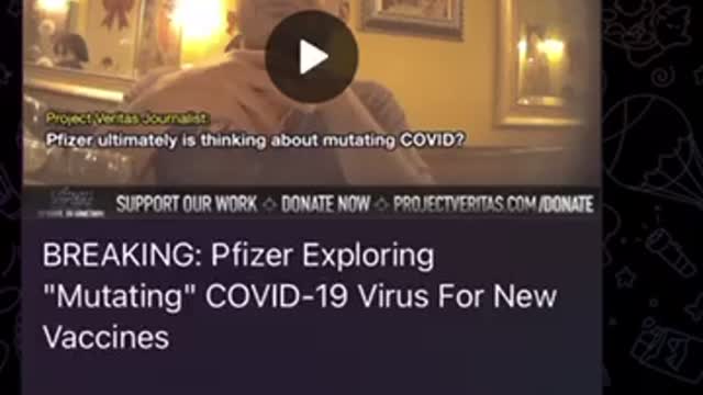 Project Veritas : gain of function : Pfizer