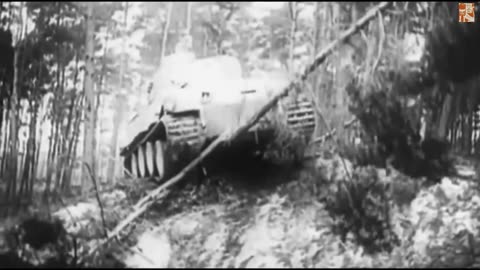 Tiger 1 In Action