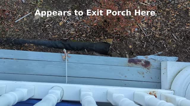 Blood on Porch