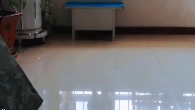 A mighty big orange cat
