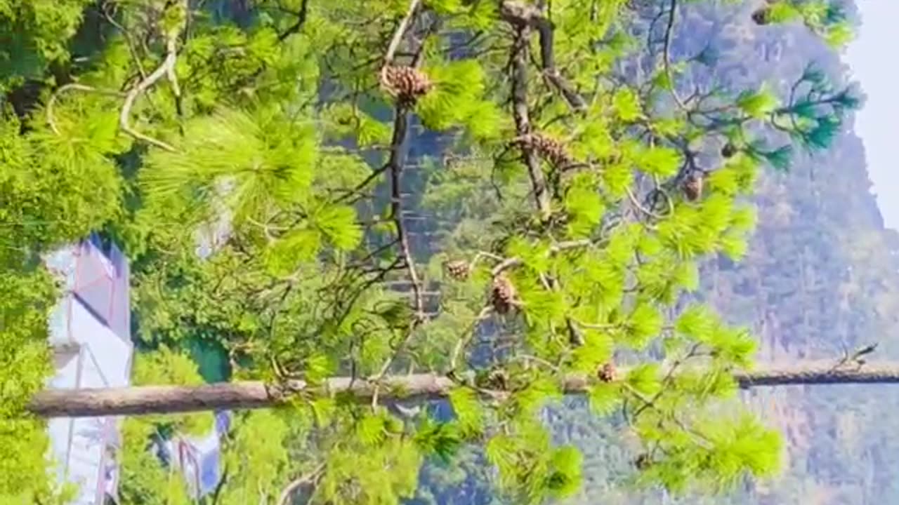 Eye Catching View | Random Clip