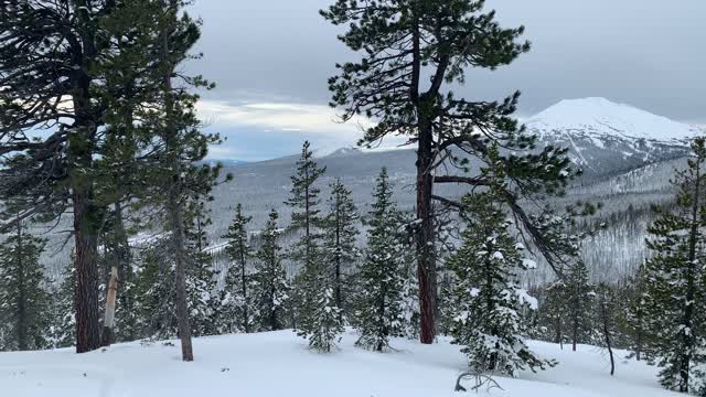 Mount Bachelor Peak Across the Way – Central Oregon – Vista Butte Sno-Park – 4K