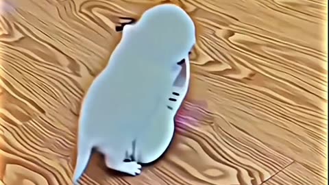 Clips I Found On Internet Part13