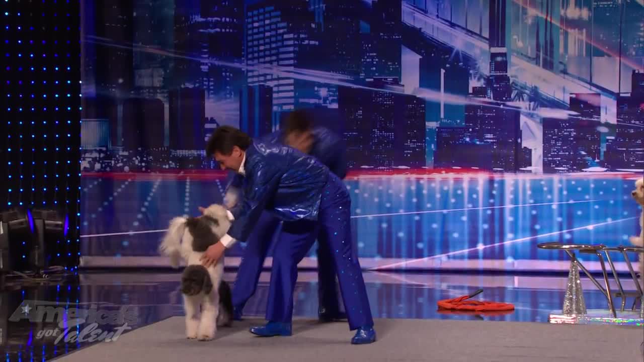 Jump-Roping Dog - Olate Dogs Audition - America's Got Talent Season 7