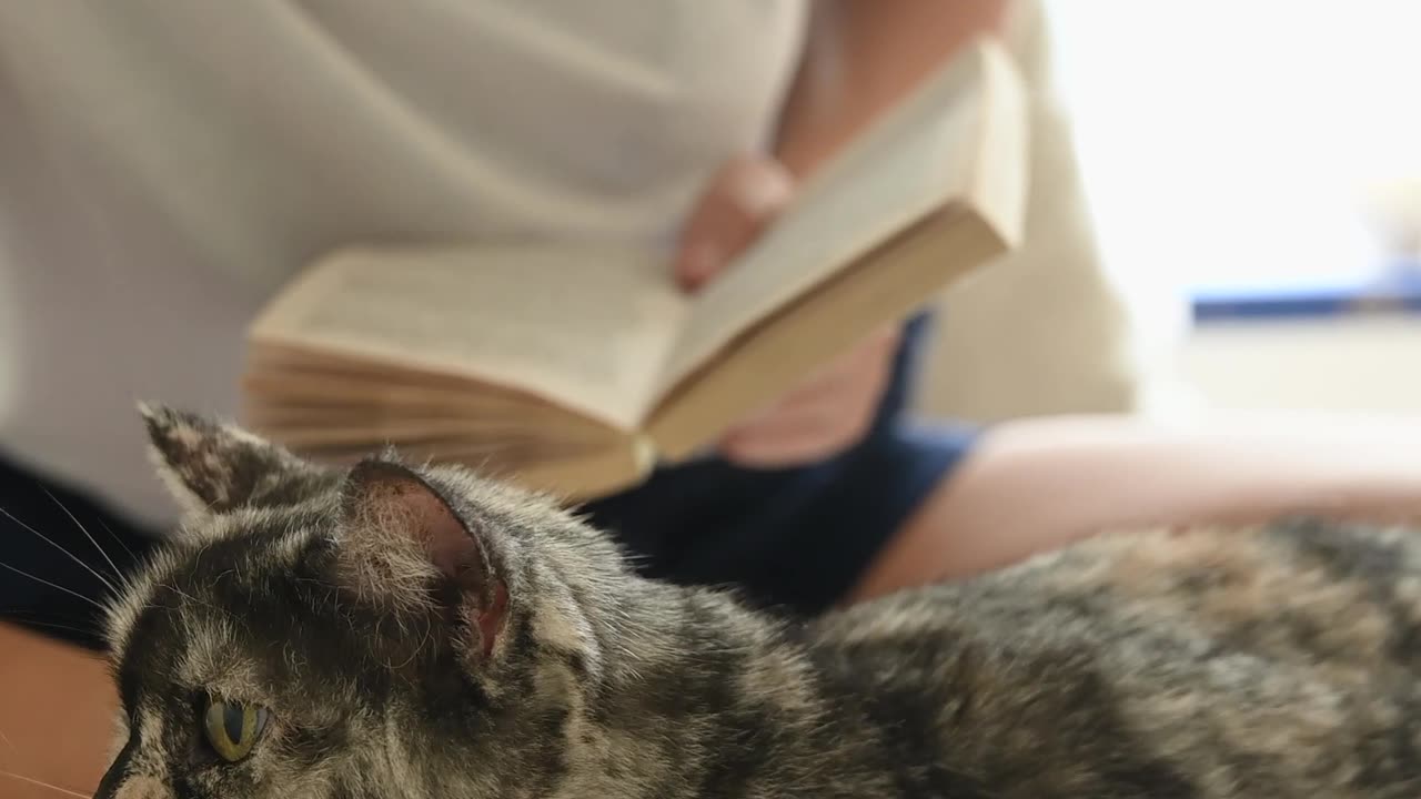 Woman Petting a Cat While Holding a Book