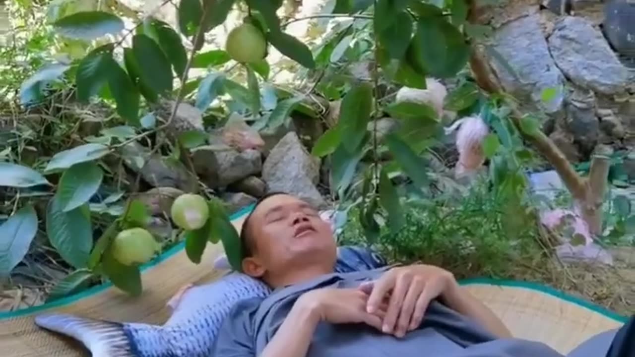 Funny video