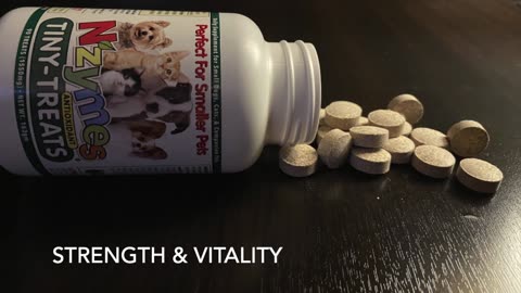 Nzymes Antioxidant Tiny Treats