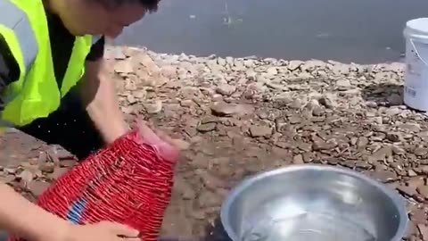 New Primitive Technology FISH TRAP with Fishing Kambo