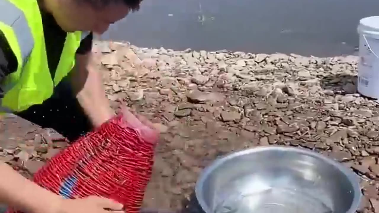 New Primitive Technology FISH TRAP with Fishing Kambo
