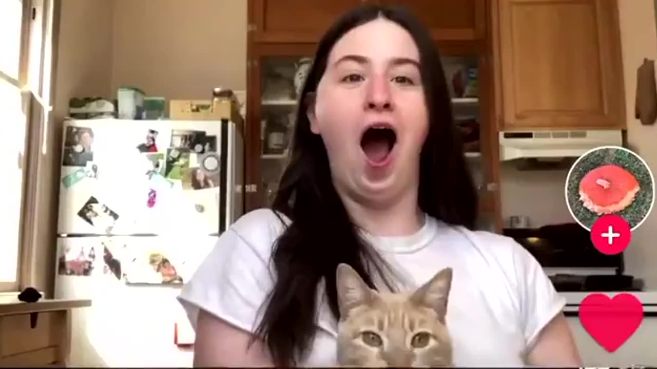 Cat's reaction when she mentally retarted says “I use she/her pronouns”