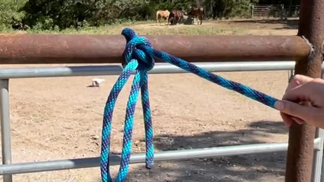 How to tie your horse Option 1