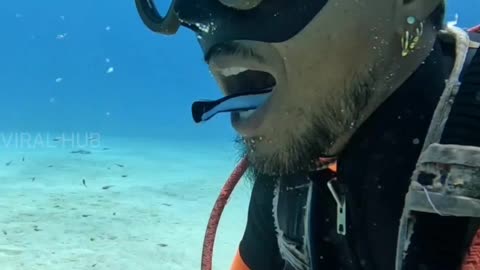 My Ocean Dentist