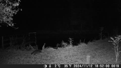 Teich121124
