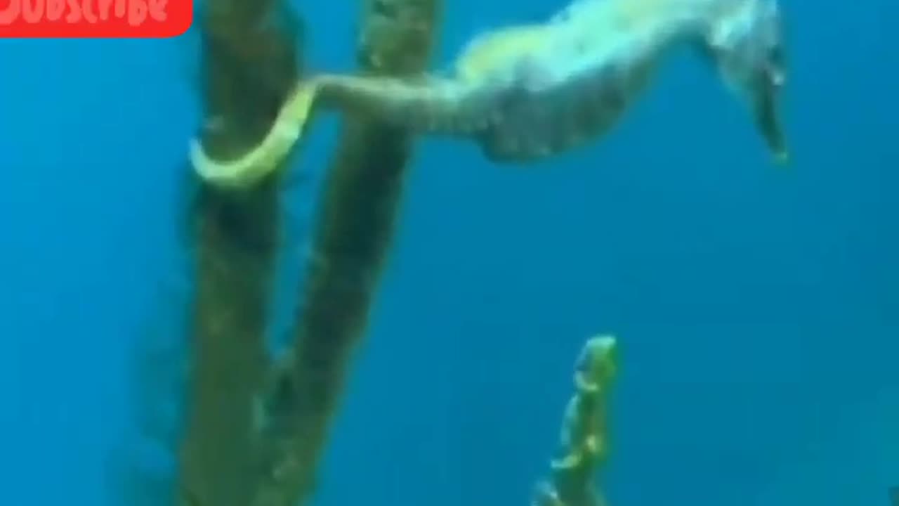 Nature world