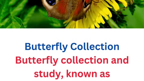 facts about butterflies...17/25