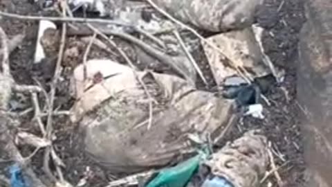 Russian Wagner PMC showed dead Ukrainian troops in Artemovsk