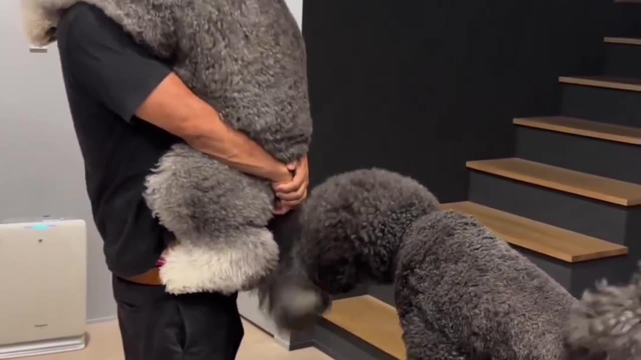 Such soo big and beautiful baby ππΆβ€οΈ