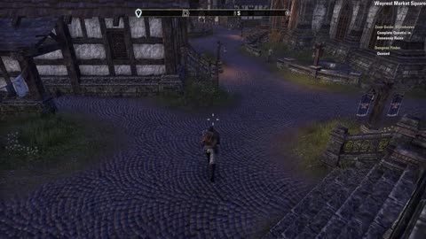 ESO Dungeon and ting