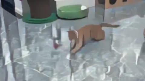 🐱 "Watch the Hilarious Cat Capers!" 🐾