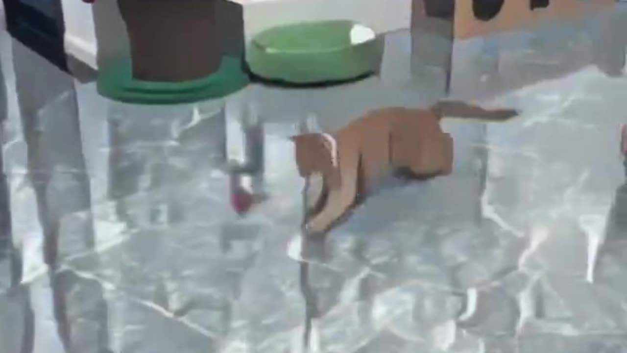 🐱 "Watch the Hilarious Cat Capers!" 🐾