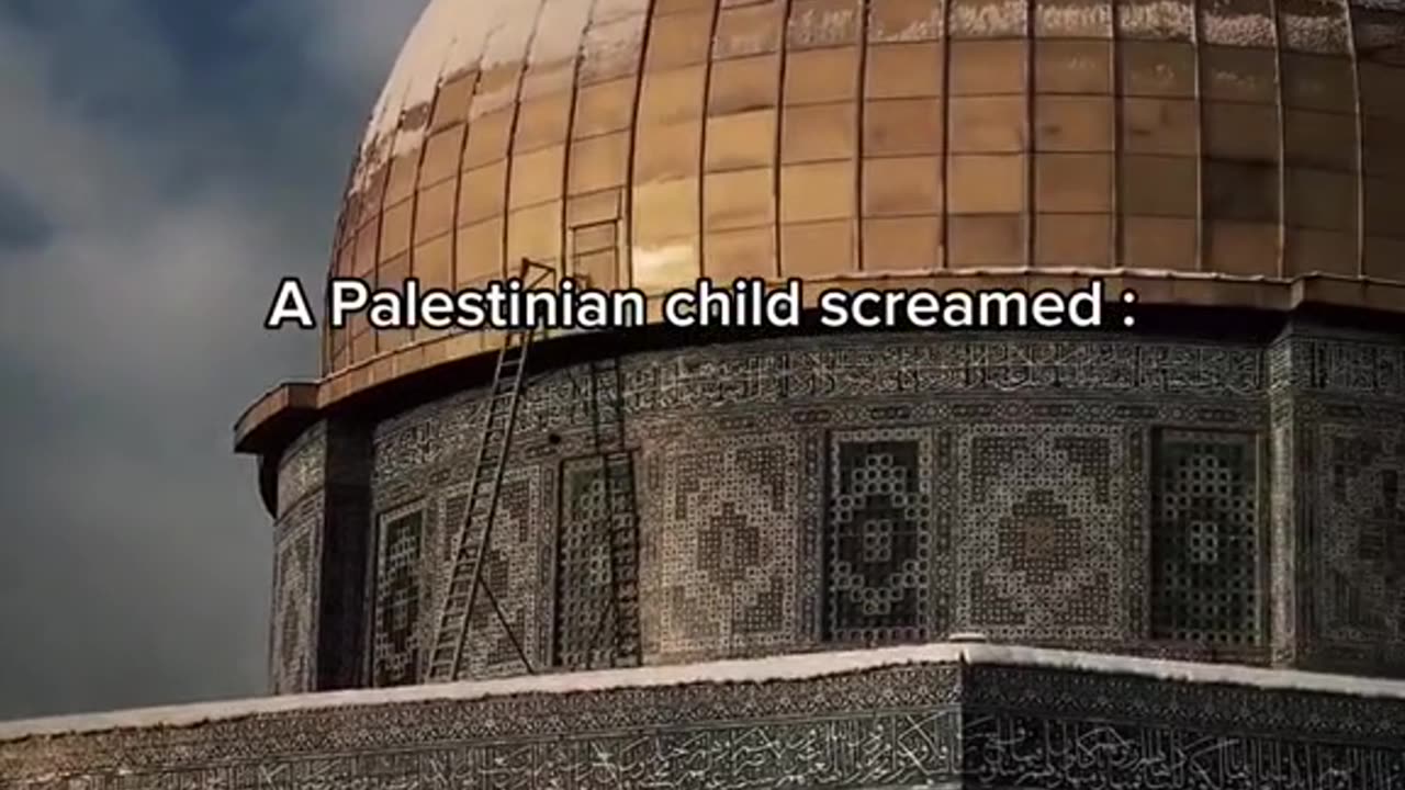Free Palestine 🇵🇸