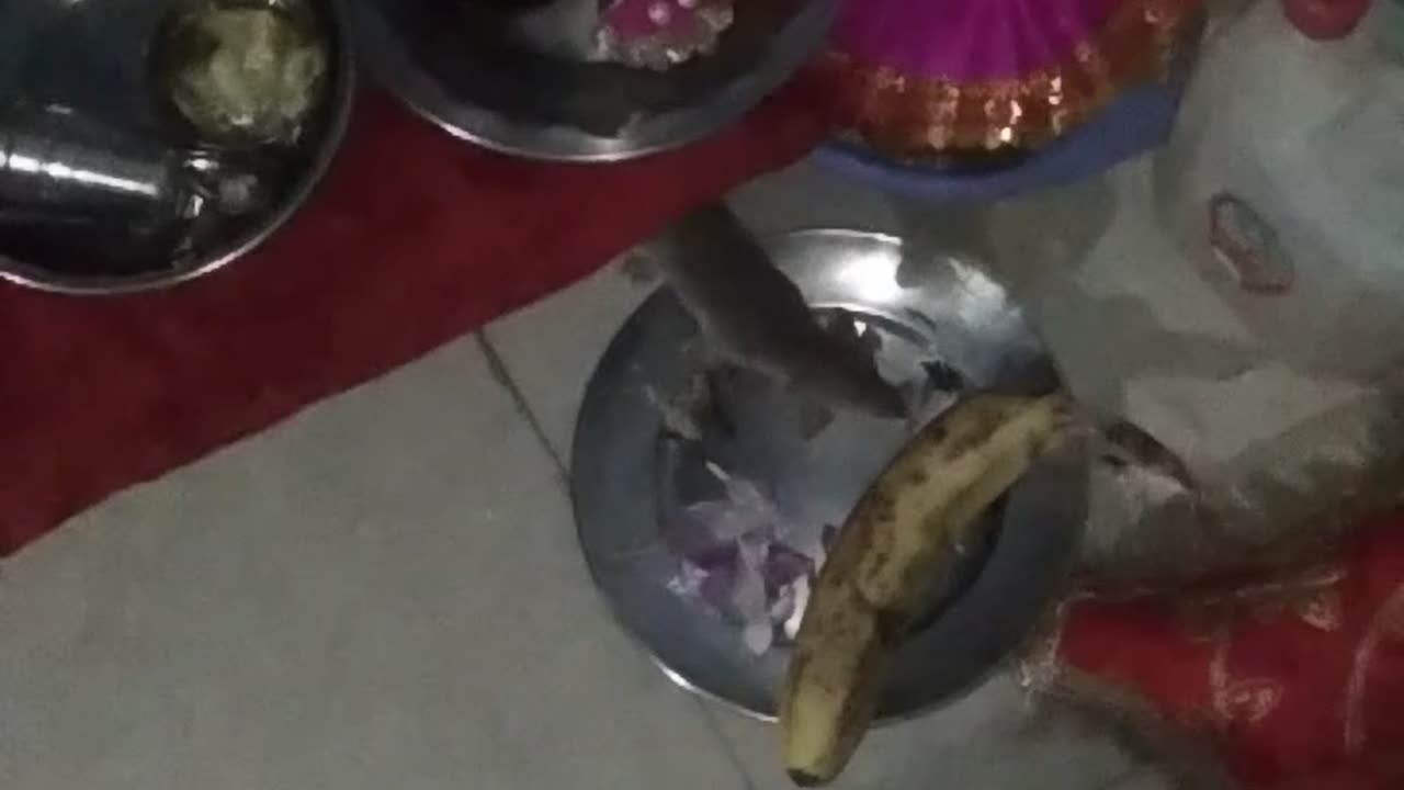 Mouse eat the food for god