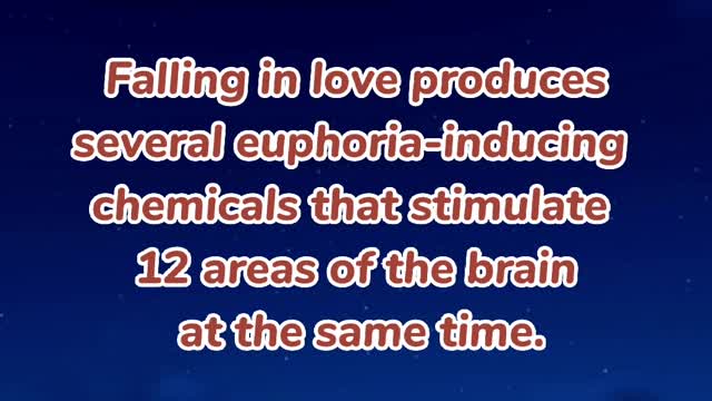 Interesting Fact about Love and Relationships