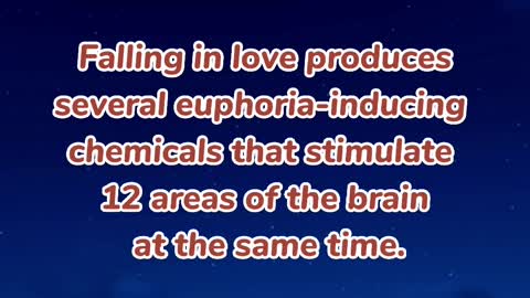 Interesting Fact about Love and Relationships