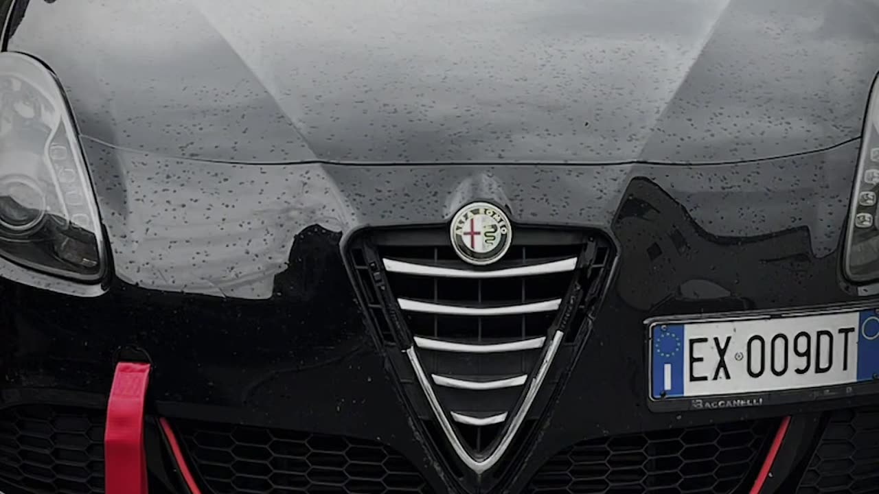 alfa romeo