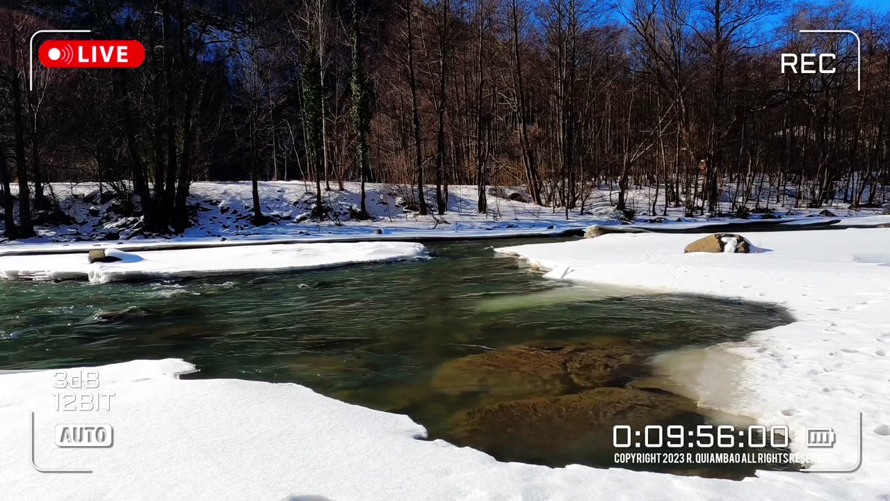 Nature Therapy | Asmr Video No. 081🌈