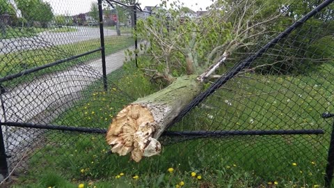 WHITBY WIND STORM