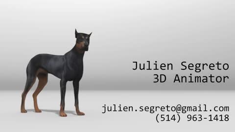 Creature Animation _ Doberman