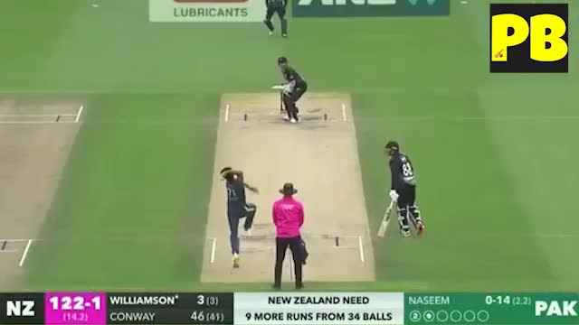 New Zeeland vs Pakistan 4th T20 2022 Highlights