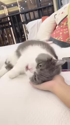 Oh! My babie 💕💕