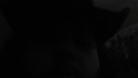 My name is darcolomew