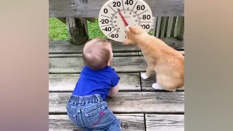 Best video of Cute Babies and Pets - Funny Baby and Pet