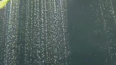 Nature beauty viral video
