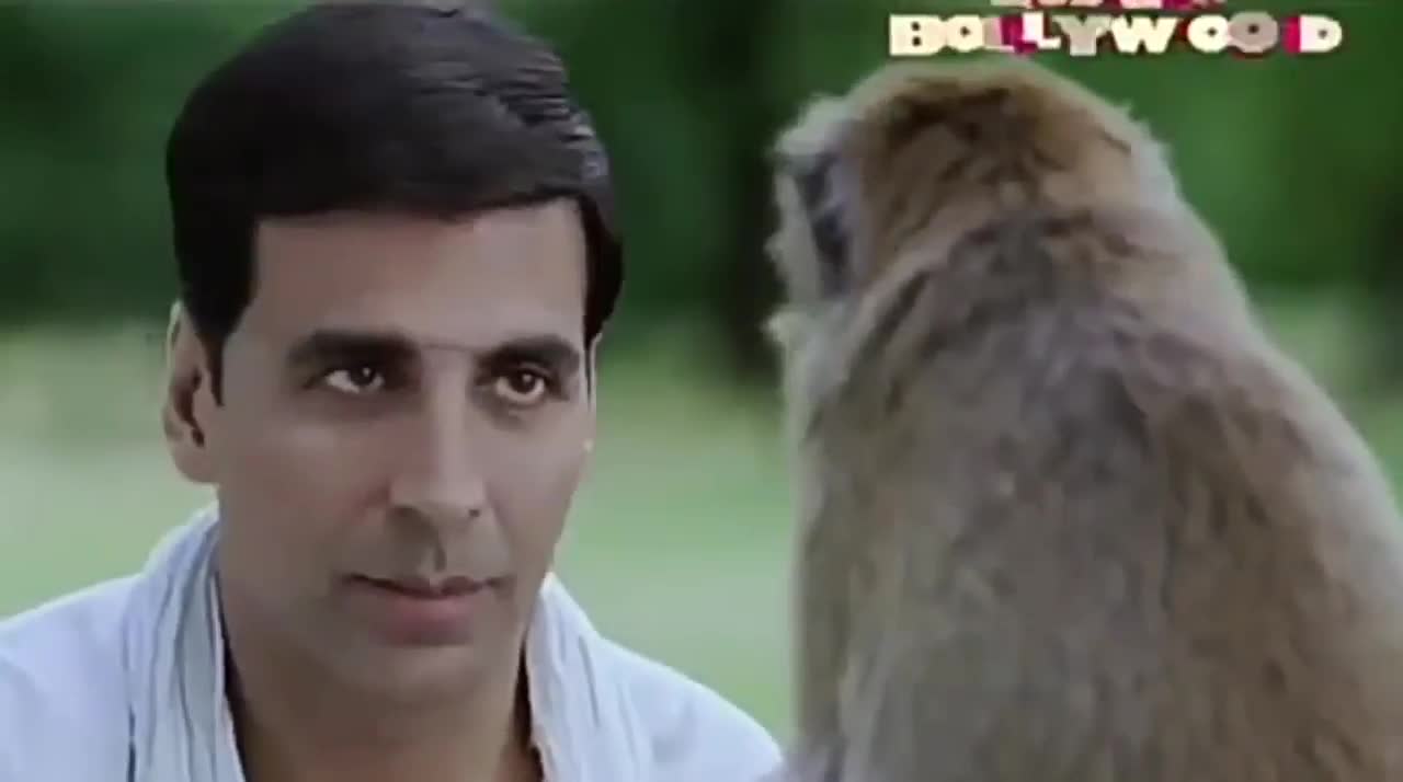 Akshay kumar best comedy Scene _ Best Funny WhatsApp status video