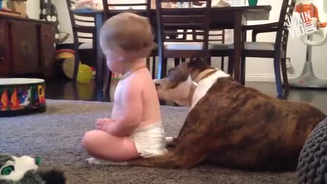 CUTE BABY PLAYING WITH DOGY