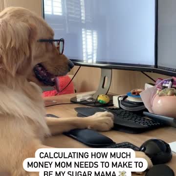 My Profile Computer Mascot